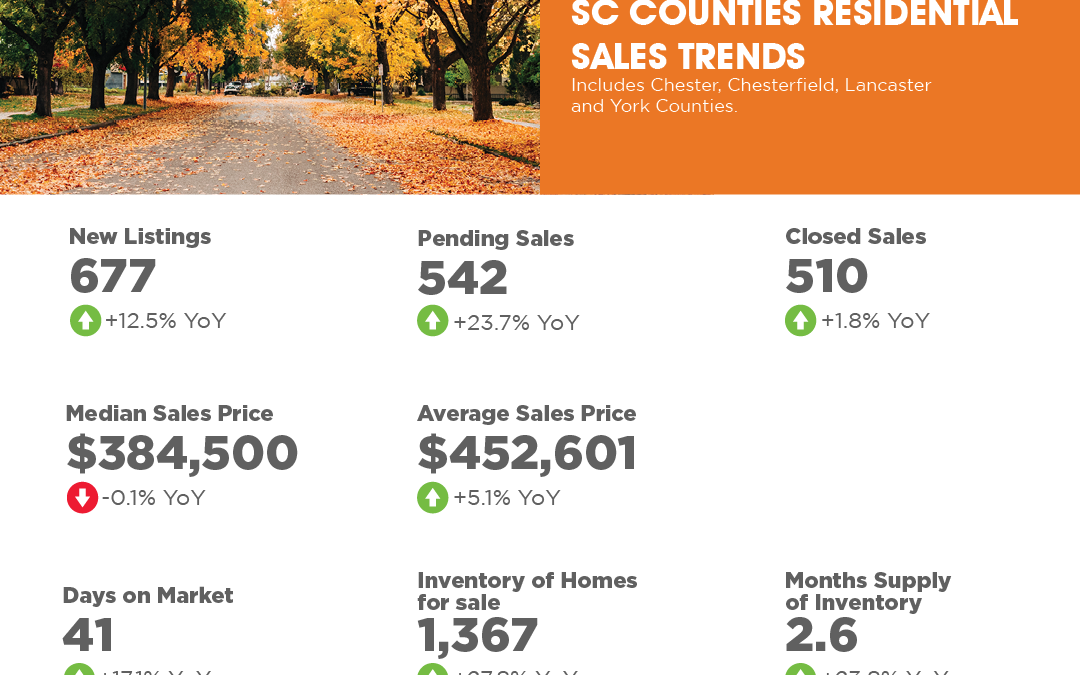 South Carolina Counties October 2024 Market Overview