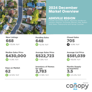 Asheville Region Monthly Infographic - December 2024