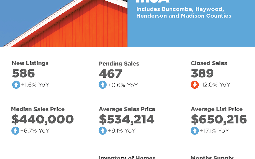 Asheville MSA February 2025 Market Overview