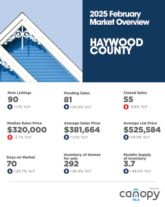 Haywood County February 2025 Market Overview