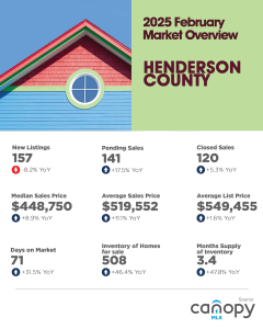 Henderson County Region February 2025 Market Overview