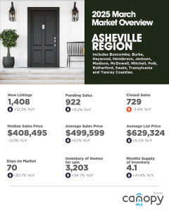 March 2025 Asheville Region infographic