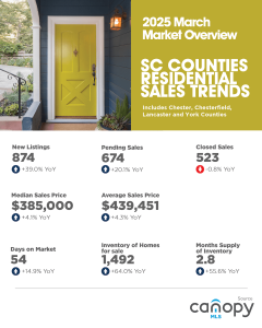 March 2025 South Carolina Counties infographic