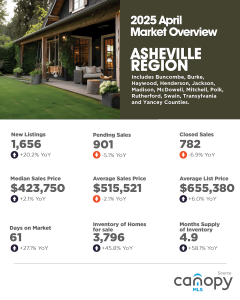 Asheville Region 2025 Market Overview