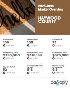 2025 June Market Overview for Haywood County